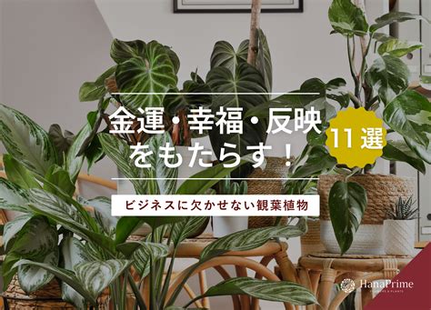 店舗風水|誰でもできる商売繁盛の風水4つのポイント【お店をパワースポ…